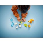 LEGO DUPLO Wild Animal Families: Penguins & Lions 10442 5702017783833