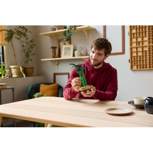 LEGO Botanicals Τυχερό Μπαμπού 10344 5702017814650