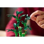 LEGO Botanicals Τυχερό Μπαμπού 10344 5702017814650
