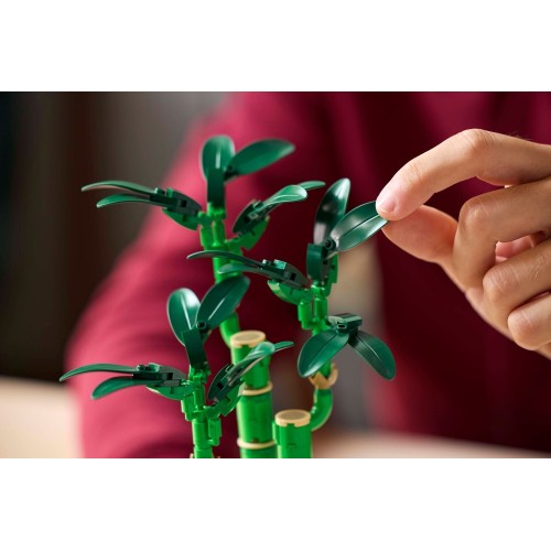 LEGO The Botanical Collection Lucky Bamboo 10344 5702017814650