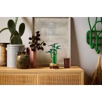 LEGO Botanicals Τυχερό Μπαμπού 10344 5702017814650