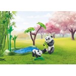 Playmobil My Life Ασιατικός Κήπος Με Κιόσκι Και Πάντα 71762 4008789717627