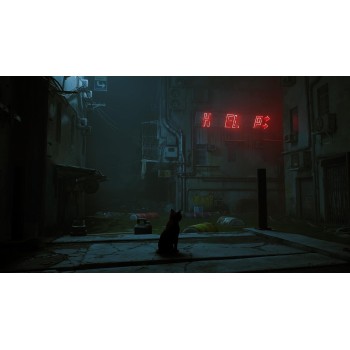 Nintendo Stray Switch  811949038685