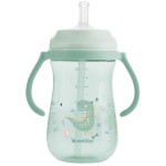 KikkaBoo Cup With Silicone Straw - Dino World, Mint, 300 Ml 31302030077 3800171212519