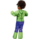Rubies Marvel Avengers Kids Hulk Deluxe Costume UK 3-4 Years 98-104Cm. 702737S 5212054704611