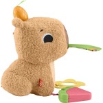 Mattel Fisher-Price Sensimals Μαλακό Καπιμπάρα Δραστηριοτήτων Λούτρινο Παιχνίδι HYR54 194735254262