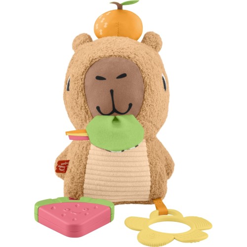 Mattel Fisher-Price Sensimals Μαλακό Καπιμπάρα Δραστηριοτήτων Λούτρινο Παιχνίδι HYR54 194735254262