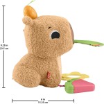 Mattel Fisher-Price Sensimals Μαλακό Καπιμπάρα Δραστηριοτήτων Λούτρινο Παιχνίδι HYR54 194735254262