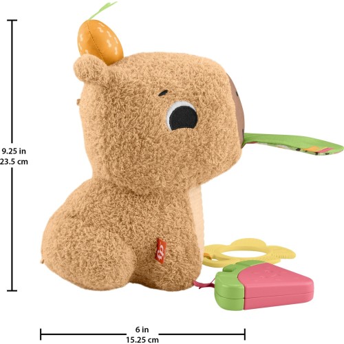 Mattel Fisher-Price Sensimals Μαλακό Καπιμπάρα Δραστηριοτήτων Λούτρινο Παιχνίδι HYR54 194735254262