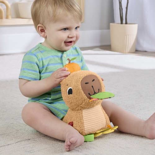 Mattel Fisher-Price Sensimals Μαλακό Καπιμπάρα Δραστηριοτήτων Λούτρινο Παιχνίδι HYR54 194735254262