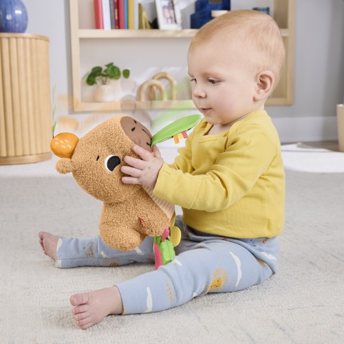 Mattel Fisher-Price Sensimals Μαλακό Καπιμπάρα Δραστηριοτήτων Λούτρινο Παιχνίδι HYR54 194735254262