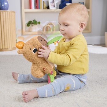 Mattel Fisher-Price Sensimals Μαλακό Καπιμπάρα Δραστηριοτήτων Λούτρινο Παιχνίδι HYR54 194735254262