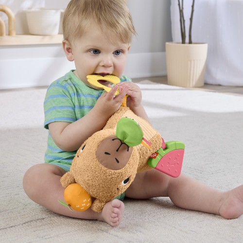 Mattel Fisher-Price Sensimals Μαλακό Καπιμπάρα Δραστηριοτήτων Λούτρινο Παιχνίδι HYR54 194735254262