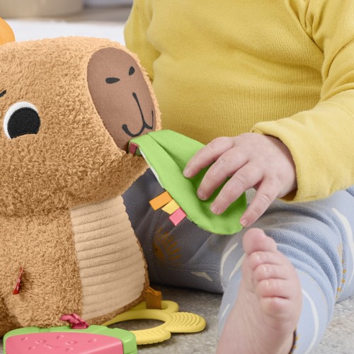Mattel Fisher-Price Sensimals Μαλακό Καπιμπάρα Δραστηριοτήτων Λούτρινο Παιχνίδι HYR54 194735254262