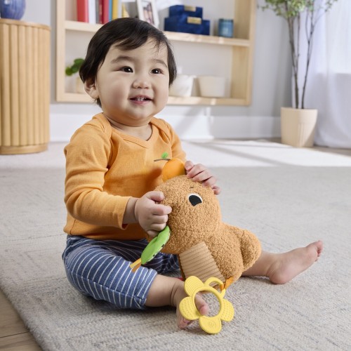 Mattel Fisher-Price Sensimals Μαλακό Καπιμπάρα Δραστηριοτήτων Λούτρινο Παιχνίδι HYR54 194735254262