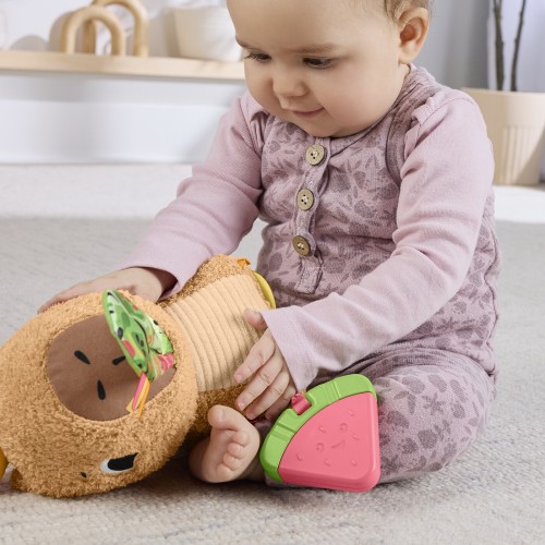 Mattel Fisher-Price Sensimals Μαλακό Καπιμπάρα Δραστηριοτήτων Λούτρινο Παιχνίδι HYR54 194735254262