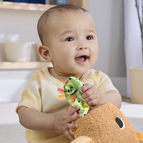 Mattel Fisher-Price Sensimals Μαλακό Καπιμπάρα Δραστηριοτήτων Λούτρινο Παιχνίδι HYR54 194735254262
