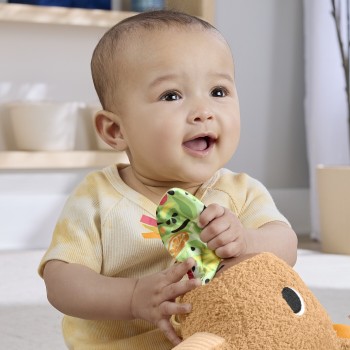 Mattel Fisher-Price Sensimals Μαλακό Καπιμπάρα Δραστηριοτήτων Λούτρινο Παιχνίδι HYR54 194735254262