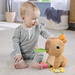 Mattel Fisher-Price Sensimals Μαλακό Καπιμπάρα Δραστηριοτήτων Λούτρινο Παιχνίδι HYR54 194735254262