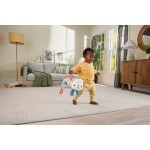 Mattel Fisher-Price Planet Firends Μαξιλαράκι Δραστηριοτήτων Ρινοκεράκι Εκπαιδευτικό Παιχνίδι HYR55 194735254316