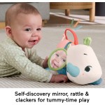 Mattel Fisher-Price Planet Firends Μαξιλαράκι Δραστηριοτήτων Ρινοκεράκι Εκπαιδευτικό Παιχνίδι HYR55 194735254316