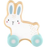 Mattel Fisher-price Wooden Push-along Bunny JDM52 194735287857