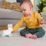 Mattel Fisher-price Wooden Push-along Bunny JDM52 194735287857
