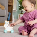 Mattel Fisher-price Wooden Push-along Bunny JDM52 194735287857
