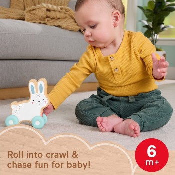 Mattel Fisher-price Wooden Push-along Bunny JDM52 194735287857