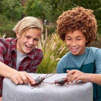 ZURU Robo Alive Creepy Crawlies Ρομποτική Κατσαρίδα Που Φωσφορίζει Στο Σκοτάδι Σειρά 2 11807152 4894680019843