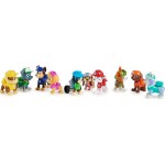 Spin Master paw patrol, 10th anniversary, all paws on deck toy figures gift  with 10 co 086771 778988435922