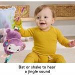 Mattel Fisher-Price Hanging Monkey With Music JFF02 194735294749