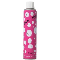 Brand Spray Foam 300Ml 203 5202075002032