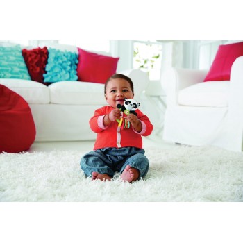 Mattel Αρκουδάκι Πάντα Οδοντοφυΐας CGR96 887961071979