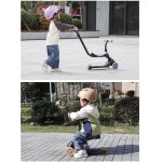 Qplay Sema Evo 6In1 Violet Skateboard 01-1212076-05 5061047482056