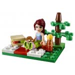 LEGO Promo Friends Summer Picnic 30108 5702014964068