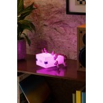 Paladone: minecraft - axolotl light (pp11743mcfv2) 093714 5056577714920