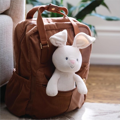 Spin Master Gund  Peek-A-Boo Flora Bunny Plush, Bunny Rabbit Stuffed Animal,  Toy For A 105950 681147082793