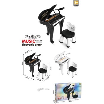 Toys-shop Choice Electronic Organ Without 4*AA Battery JM099135 6990225991358