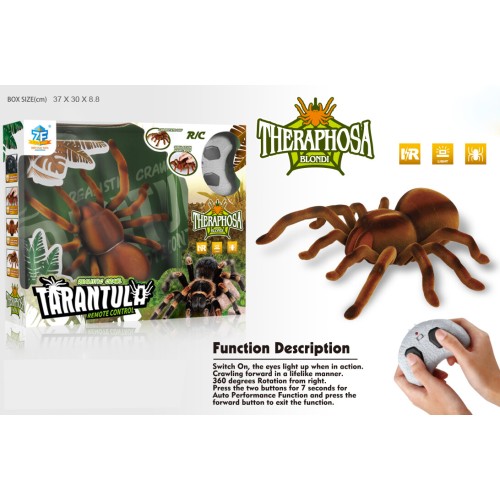Toys-shop Choice R/C Spider With Light(Spider 3*AA,Remote Control 3*AA Not Battery) JF093629 6990225936298