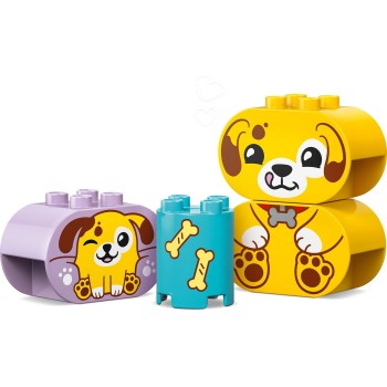 LEGO DUPLO My First Ταξινόμηση Σχημάτων: Σπίτι Για Κουταβάκια 10441 5702017816784