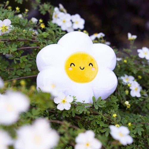 Legami Λούτρινο Stuffed Toy -  Soft! - Mini Daisy MSC0010 8052694028411