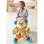 Mattel Fisher Price Educational Puppies Walker Smart Stages FTC66 887961640908