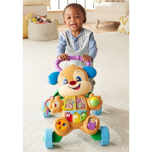 Mattel Fisher Price Educational Puppies Walker Smart Stages FTC66 887961640908