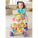 Mattel Fisher Price Educational Puppies Smart Stages Pink FTC68 887961640922