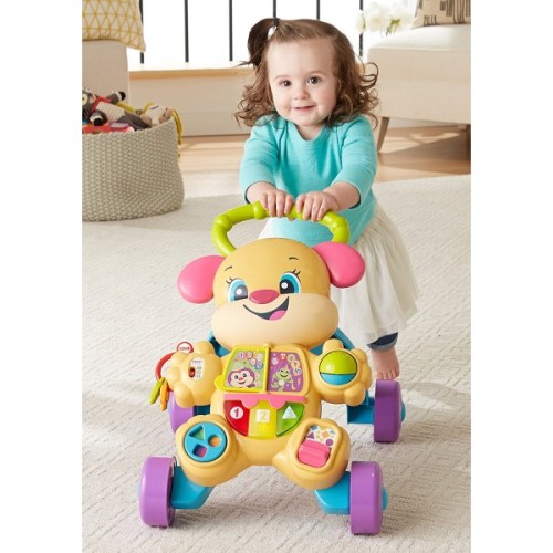Mattel Fisher Price Educational Puppies Smart Stages Pink FTC68 887961640922