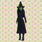 Mattel Wicked Singing Elphaba Fashion Doll, Posable With Removable Movie Fashions & Accessories JLG48 194735363421