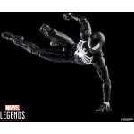 Hasbro Spiderman Spider-Man Legends Series Gamerverse Peter Parker Black Suit Action Figure G0826 / G0834 5010996300492