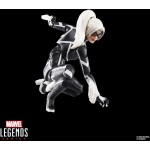 Hasbro Spiderman Legends Series Gamerverse Peter Parker Anti-Venom Style Style Spider-Man G0826 / G0838 5010996300539