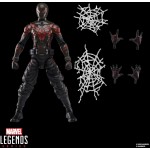 Hasbro Spiderman Spider-Man Legends Series Gamerverse Miles Morales Brooklyn 2099 Suit G0826 / G0839 5010996300546